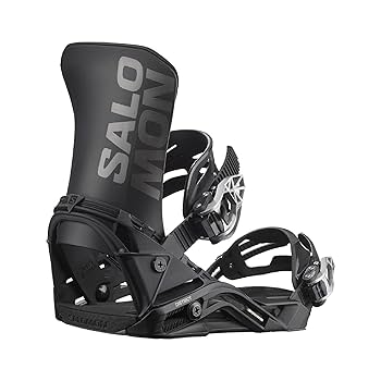 Amazon | 【スポイチ】2025 Newモデル SALOMON DISTRICT
